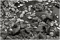 Coloured Rocks, River, Dry Grass (B&W): Smith Rocks, OR, USA (2005) - Fine art black and white photograph of grey, white and black rocks at the bottom of a river canyon