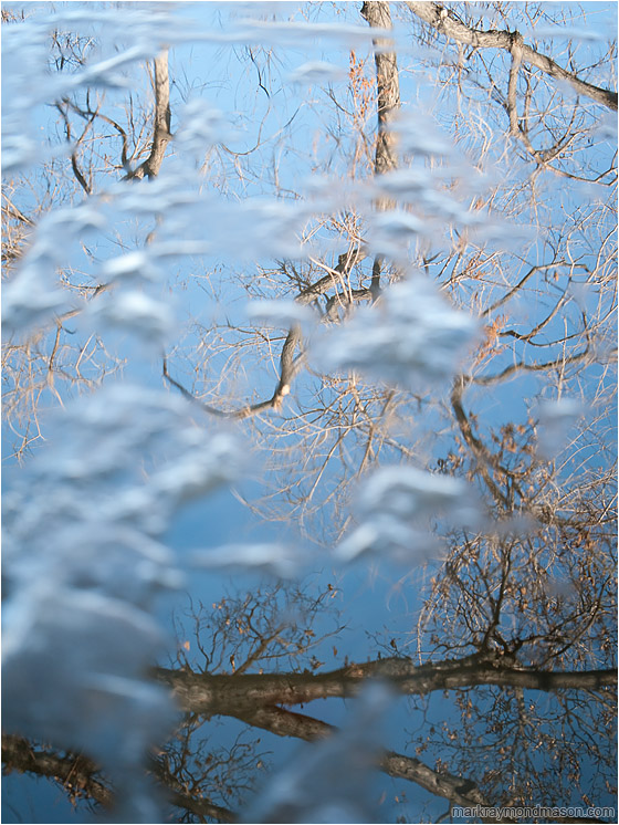 Floating Ice, Tangled Trees: Calgary, AB, Canada (2010-03-06) - Abstract photograph of floating ice obscuring the reflections of bare trees