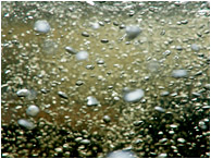 Silver Bubbles, Dark Water: Near San Ignacio, Belize (2010) - Abstract underwater photograph showing bubbles like mercury rising from the dark depths of a mountain creek