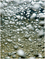 Clustered Bubbles: Near San Ignacio, Belize (2010) - Abstract photograph of clusters of shiny bubbles and green creek water in a mountain stream