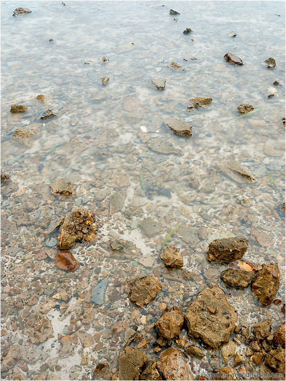Smooth Sea, Crusted Concrete: Caye Caulker, Belize (2010-05-17) - Fine art photograph showing blocks of broken concrete, crusted with snails, in a smooth shallow sea