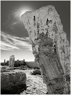 Two Salted Pillars (B&W): Salton Sea, CA, USA (2011) - Fine art B&W photograph showing bridge piers crusted in salt and barnacles against a dramatic cloudy sky