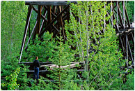 Shilo on an Aging Train Bridge: Near Kelowna, BC, Canada (2002) - Lifestyle photograph of a man standing on the crossbeams of an aging wooden train bridge amidst aspens and fir trees