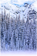 Mist, Trees, Glacier: Joffre Lakes, BC, Canada (2005) - Fine art photograph of mist gathering below a forest and a fractured glacier