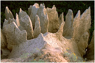 Hoodoo Formations, Sage: Near Invermere, BC, Canada (2005) - Abstract nature photograph of hoodoos and sagebrush against a backdrop of green trees