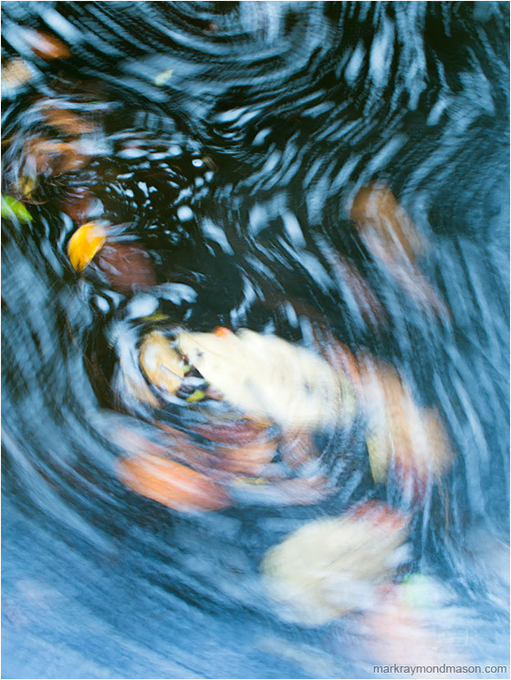 Deep Water, Leaf Paths: Near Montezuma, Costa Rica (2013-01-07) - Abstract impressionist photo showing the blurry paths of leaves as they circle in the dark water of a mountain creek