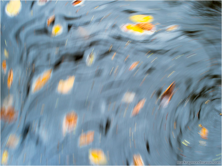 Feathered Water, Pastel Leaves: Near Montezuma, Costa Rica (2013-01-08) - Fine art photograph of pastel water reflections and swirling leaves, blurred with movement to look like an impressionist painting