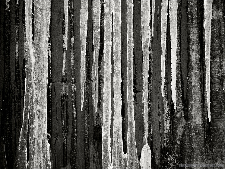 Dark Concrete, Ice: Salmon Arm, BC, Canada (2017-01-11) - Fine art black and white photo of white icicles flowing down a dark, charcoal coloured concrete wall