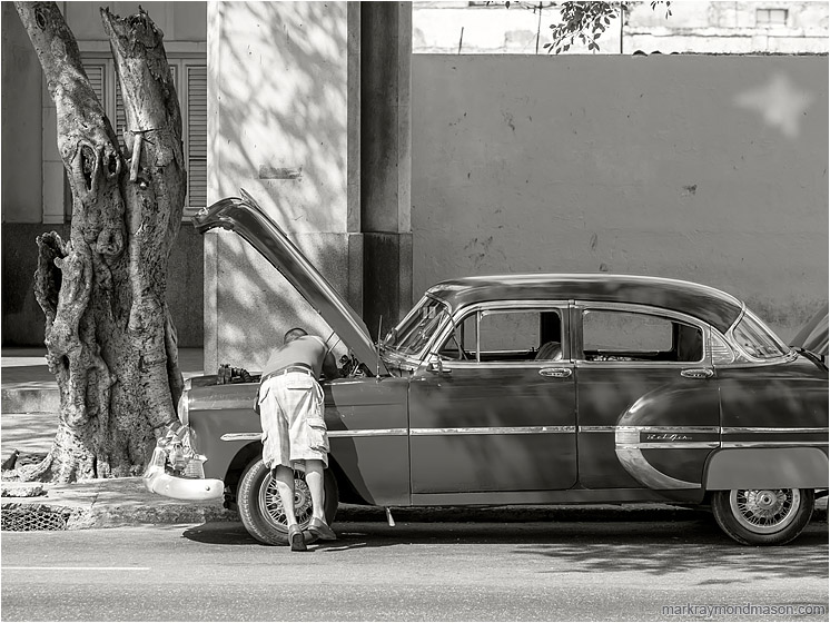 Shiny Car, Man Working: Havana, Cuba (2017-02-19) - Fine art black and white photo showing a man bending into the open hood of a finely restored classic car
