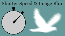 Figure 4: A faster shutter speed will make moving objects clearer; a slower one will make them blurrier