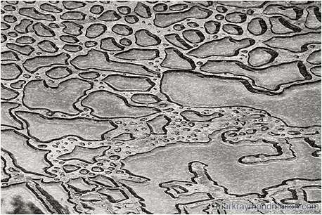 Abstract black and white photograph of water droplets forming abstract shapes on a polished marble slab