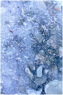 Snow Dusted Ice: Near Princeton, BC, Canada (2004) - Abstract photo showing rocks and ice, dusted with snow crystals