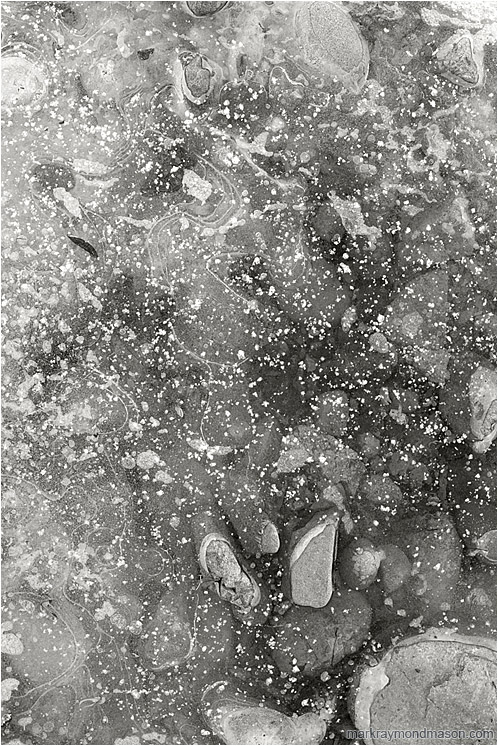 Snow Dusted Ice (B&W): Near Princeton, BC, Canada (2004-00-00) - Abstract black and white photograph of dusted snow covering an icy pool of rocks and leaves