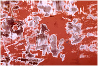 Scrubbed Orange Wall: Calgary, AB, Canada (2006) - Abstract photograph of graffiti removal scratch marks and patterns on an orange painted metal doorway