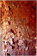Fire Damage: Calgary, AB, Canada (2007) - Abstract fine art photograph of a burnt, blistered wall inside a fire-damaged house