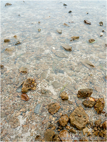 Fine art photograph showing blocks of broken concrete, crusted with snails, in a smooth shallow sea