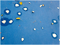 Scattered Leaves, Seeping Water: Kamloops, BC, Canada (2010) - Fine art photograph showing leaves and water stains scattered on a deep blue tennis court