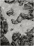 Slick Rocks, Reflection Pool (B&W): Near Tofino, BC, Canada (2011) - Fine art abstract photograph of rain-washed rocks and a translucent flat tide pool