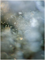 Clouded Water, Bubbles: Near Kamloops, BC, Canada (2011) - Abstract underwater photograph of dusty, clouded water revealing distant light shimmers and bubbles