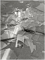 Eyes, Shattered Glass (B&W): Bombay Beach, CA, USA (2011) - Fine art B&W photo showing a magazine clipping in a pile of shattered window glass