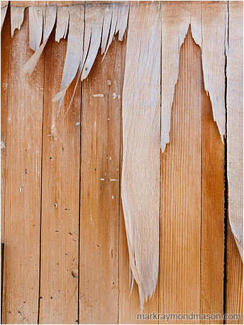 Abstract photograph showing paper fibres hanging like icicles from a pockmarked wooden wall