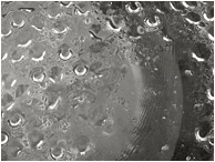 Floodlamp, Condensation (B&W): Las Vegas, NV, USA (2012) - Abstract black and white photograph of beads of water on the inside of a streetlamp bulb
