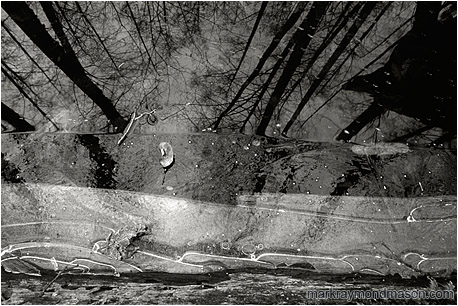 Abstract black and white photograph of a partly frozen pool of water, floating leaves, and reflections of the forest and sky
