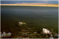 Lake Rocks, Arching Horizon: Mono Lake, CA, USA (2002) - Fine art photograph of small volcanic rocks in a large lake, with stormclouds and sunshine in the distance