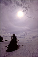 Sun, Clouds, Snow: Near Elfin Lakes, BC, Canada (2002) - Fine art photograph of an eclipsed sun, swirling clouds, and trees in the snow