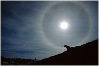 Sundog: Stein Wilderness, BC, Canada (2002) - Lifestyle photo showing the silhouette of a dog against a dramatic solar halo and distant mountain ranges