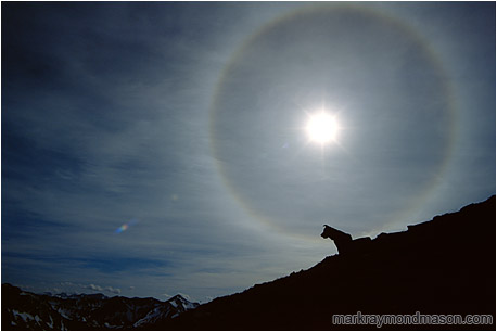 Lifestyle photo showing the silhouette of a dog against a dramatic solar halo and distant mountain ranges