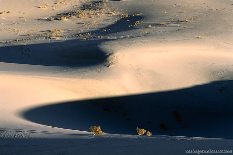 Dunes, Sweeping Shadows: Death Valley, CA, USA (2003-00-00) - Abstract photograph of sand dunes and wild desert shadows