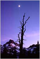 Snag, Mountains, Moon: High Sierras, CA, USA (2001) - Fine art nature photograph of a brilliant moon above the outline of an old snag with mountains and forests in the backgound