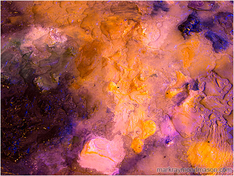 Abstract macro photograph showing dried clots of paint on an abandoned palette, flooded with rainwater