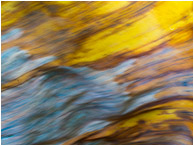 Flowing Palm Leaf: Near Atenas, Costa Rica (2013) - Abstract photograph showing a blurry, moving colourful palm leaf, waving in the wind through a long exposure