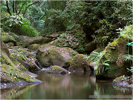 Fine art photograph showing reflections of rich jungle in the smooth water of a lazy, rocky creek