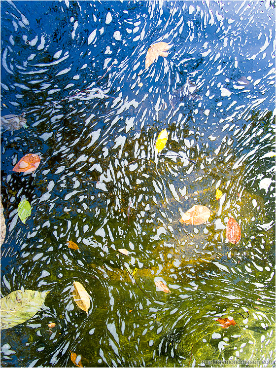 River, Swirled Foam: Near Montezuma, Costa Rica (2013-01-07) - Abstract photograph showing foam swirling amidst leaves on the colourful surface of a mountain creek