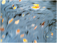 Feathered Water, Pastel Leaves: Near Montezuma, Costa Rica (2013) - Fine art photograph of pastel water reflections and swirling leaves, blurred with movement to look like an impressionist painting