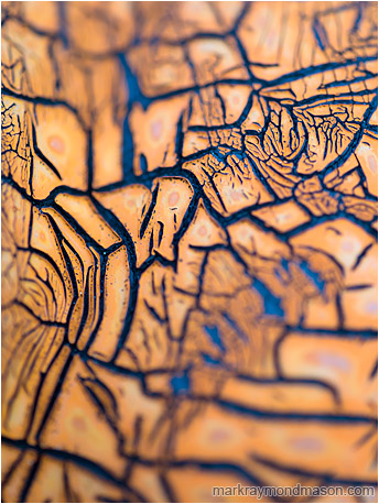 Abstract macro photograph of a network of blue cracks in an old orange cracked rubber gasket.