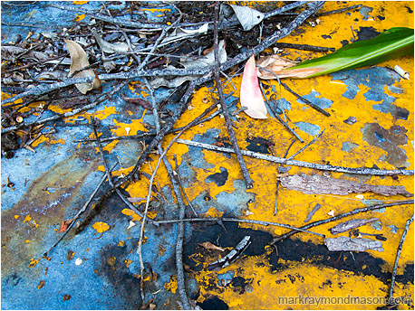 Fine art macro photo of scattered leaves covering the top of an old abandoned grader hood