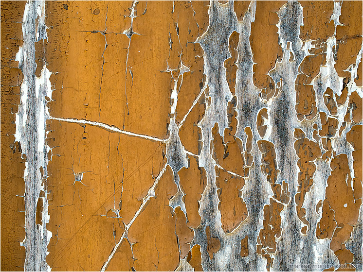 Old Paint, Rotting Wood: Havana, Cuba (2017-02-14) - Abstract photograph showing dynamic cracks in aging paint on a wooden doorway, the worn areas looking like crackling arcs of electricity