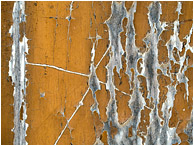 Old Paint, Rotting Wood: Havana, Cuba (2017) - Abstract photograph showing dynamic cracks in aging paint on a wooden doorway, the worn areas looking like crackling arcs of electricity