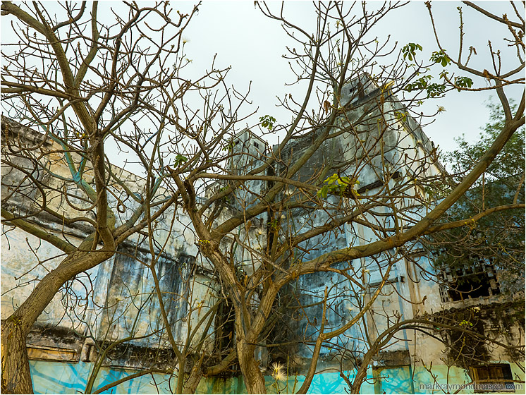 Bare Tree, Concrete Tower: Havana, Cuba (2017-02-16) - Fine art colour photo of a streaked, looming tower behind a skeletal bare street tree