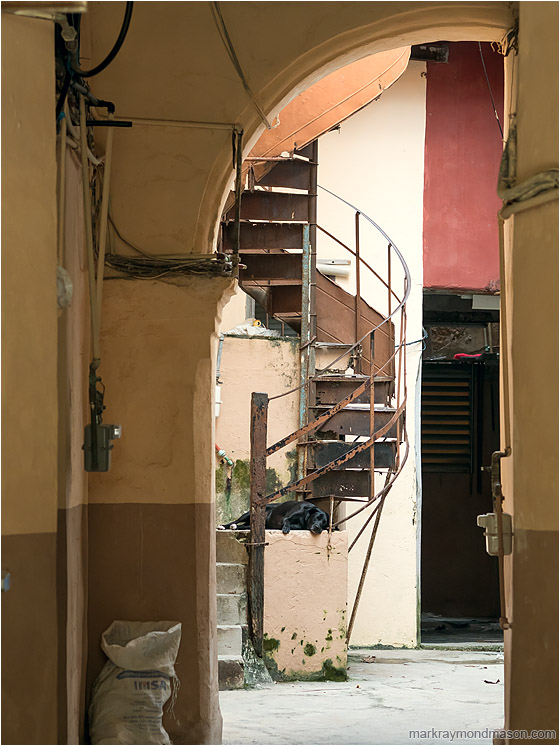 Sleeping Dog, Spiral Stairs: Havana, Cuba (2017-02-19) - Fine art street photograph showing a black dog sleeping on the landing of a rusted spiral staircase in a brightly lit breezeway