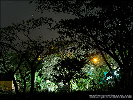 Fine art photograph showing streetlights shining through a silhouetted forest at the edge of the city