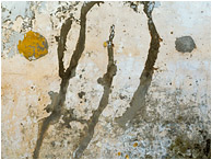 Battered Wall, Brushstrokes: Matanzas, Cuba (2017) - Abstract photograph showing patterns on a wall of an abandoned building, resembling Japanese brushstroke artwork