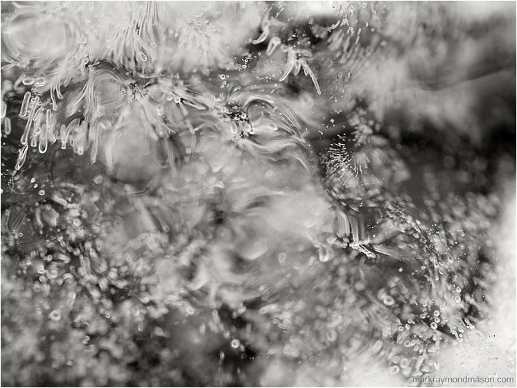 Clouded Ice: Near Salmon Arm, BC, Canada (2018-02-18) - Abstract black and white macro photograph of crisp patterns and blurred highlights in a small ice formation