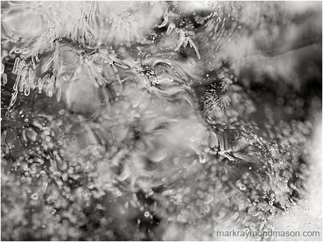 Abstract black and white macro photograph of crisp patterns and blurred highlights in a small ice formation